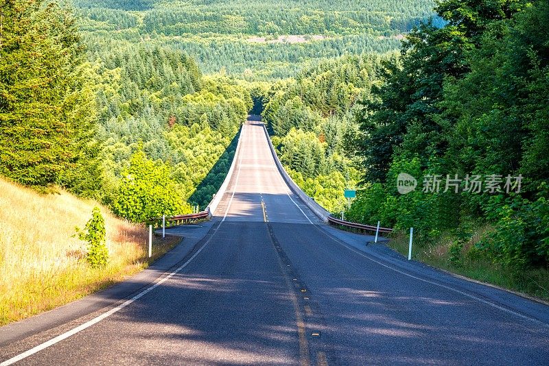 Hoffstadt Bridge-Mt。圣海伦斯火山,佤邦